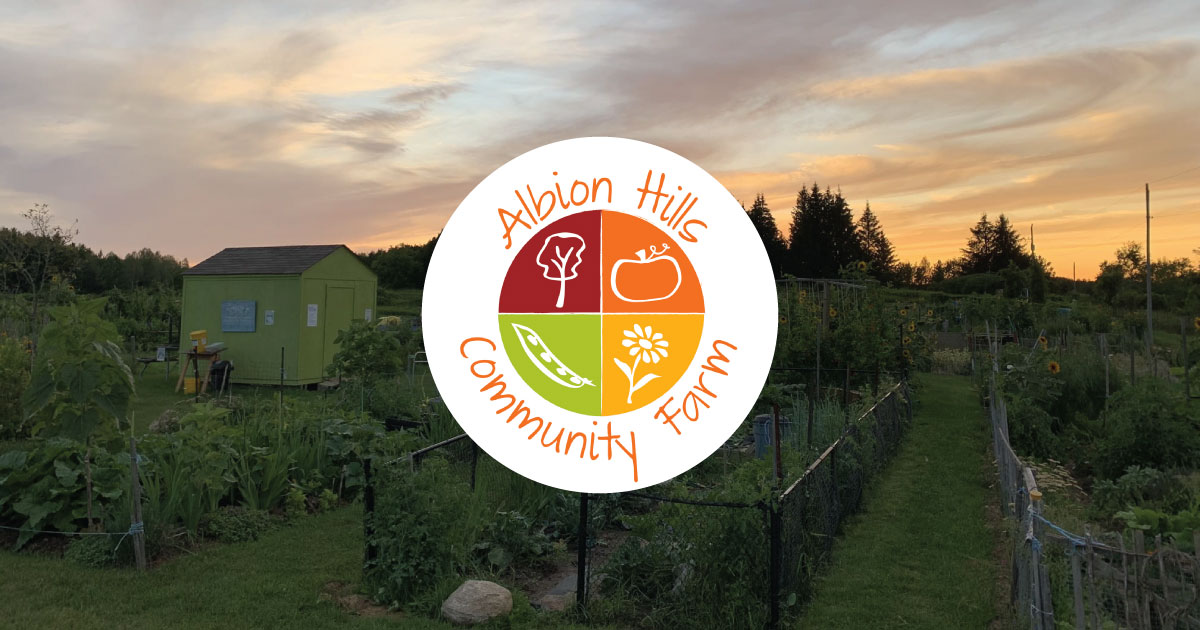 Moosewood Restaurant's Swiss Chard Rolls With Low-Fat Cheese Filling | Albion Hills Community Farm